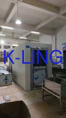 Đường hầm tắm không khí phòng sạch có kích thước tùy chỉnh với lưu lượng không khí tốc độ cao (20-25m/s) cho dung lượng nhiều người (50+ nhân viên)